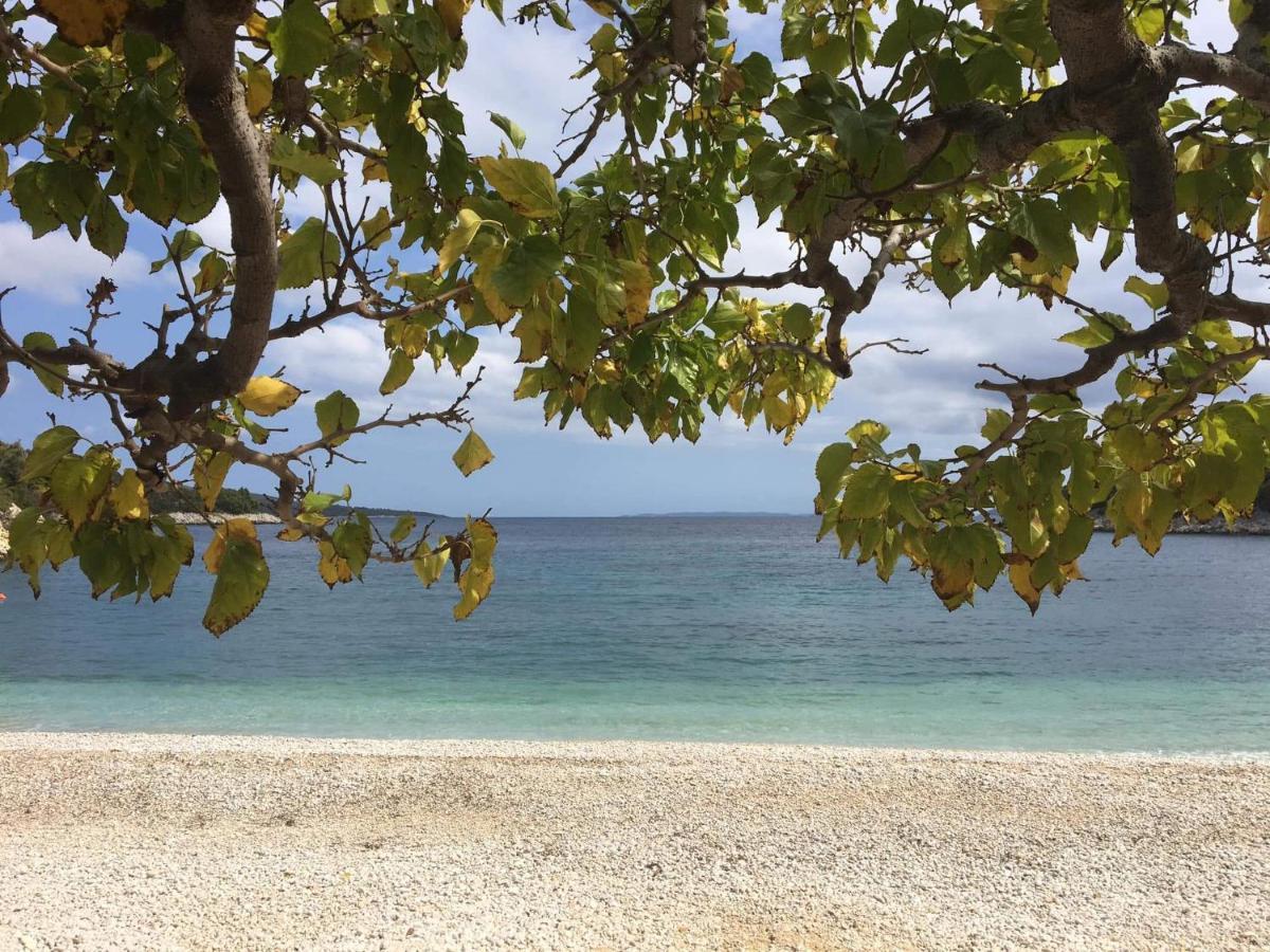 Chelidonia Villa Steni Vala Alonissos Exteriör bild